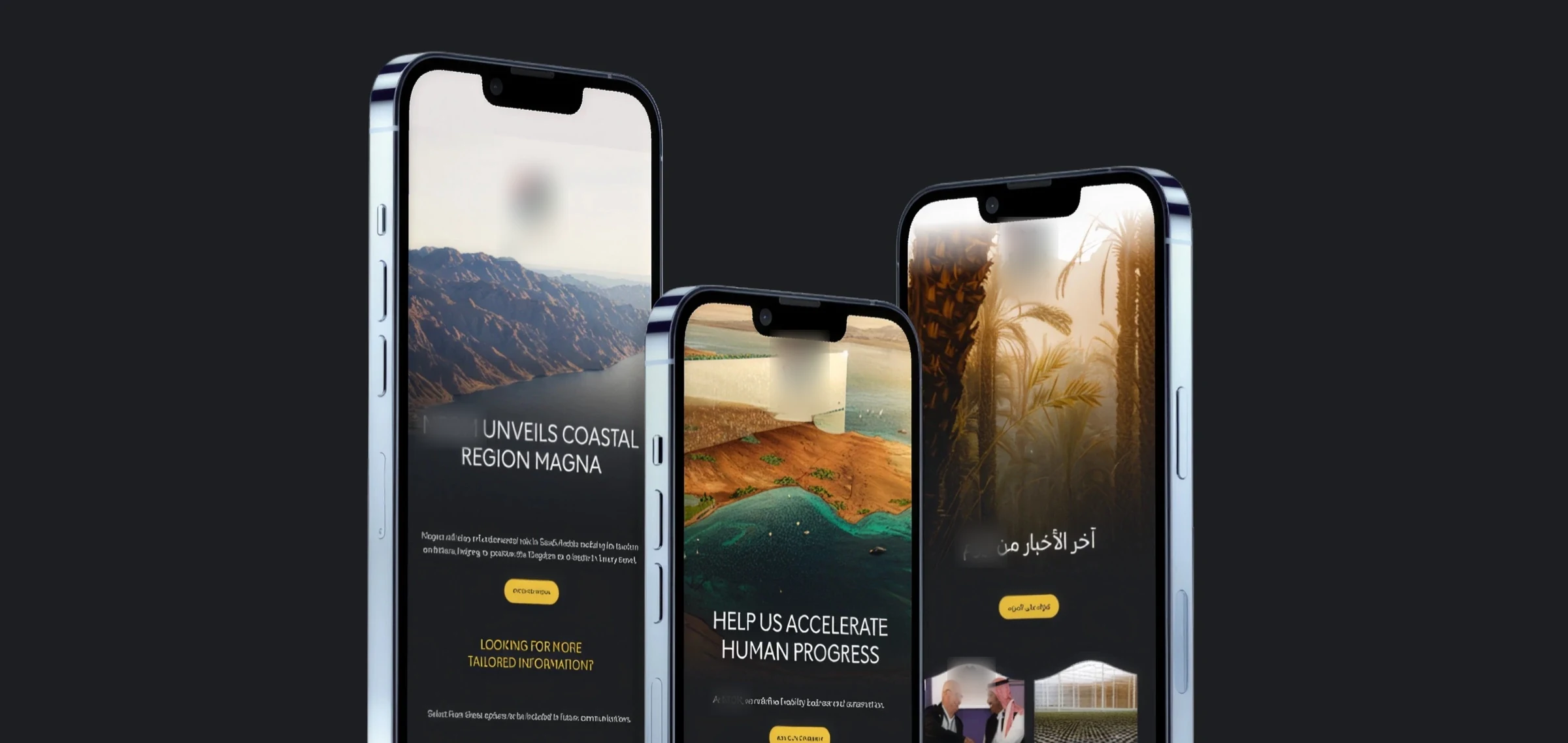 Locked case study preview